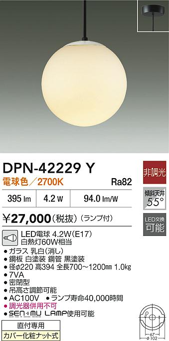 DPN-42229Y