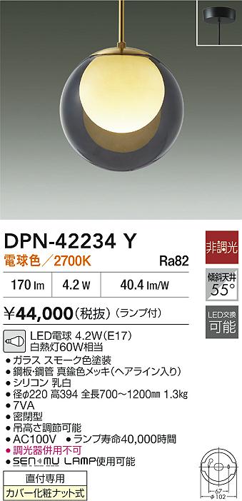 DPN-42234Y