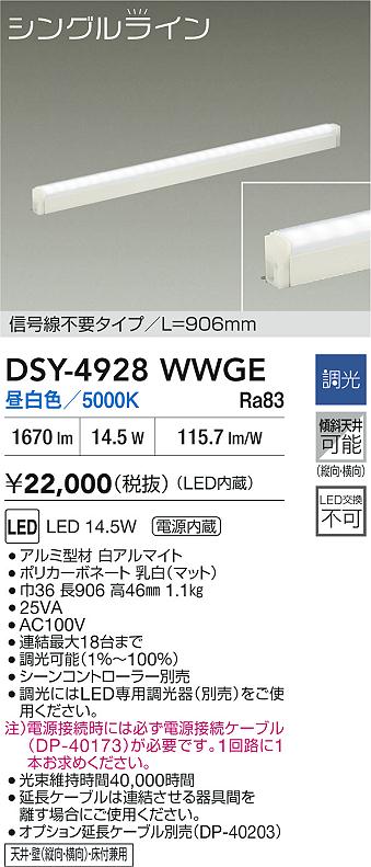 DSY-4928WWGE