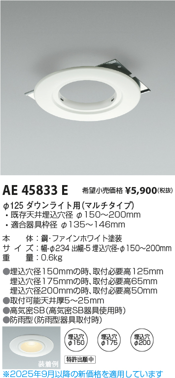 AE45833E