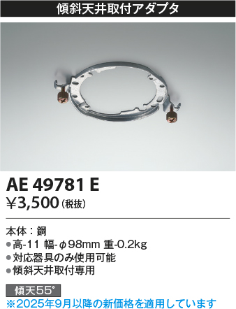 AE49781E