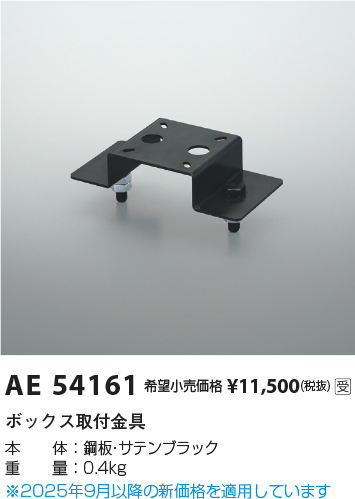 AE54161