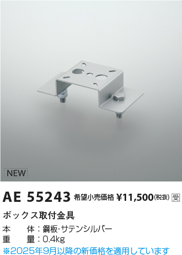 AE55243