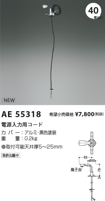 AE55318