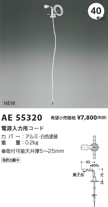 AE55320