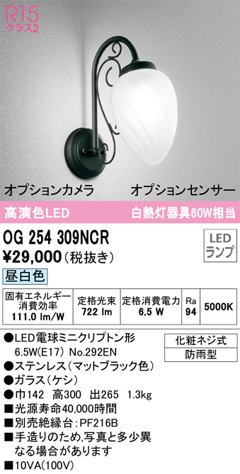 OG254309NCR