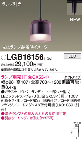 LGB16156