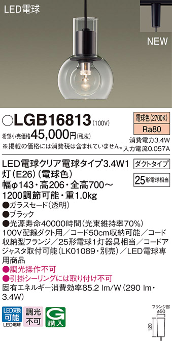 LGB16813